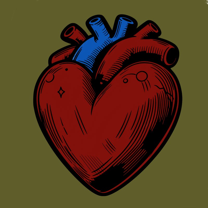 realistic heart