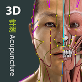 Visual Acupuncture 3D - App Icon