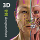 Visual Acupuncture 3D