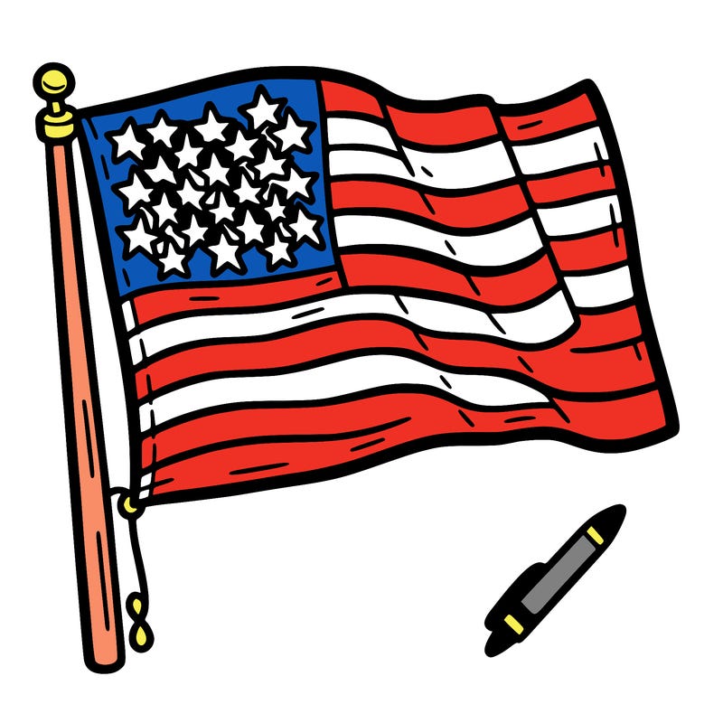 the united states flag