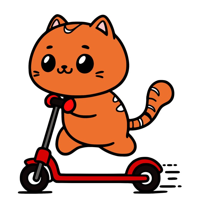 a cat scootering