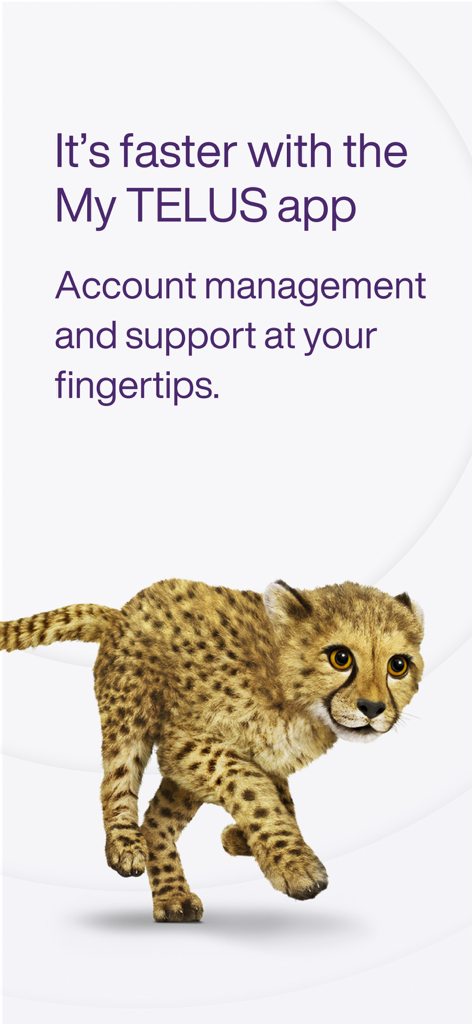 Schermata promozionale per l'app My TELUS con un cucciolo di ghepardo e testo sulla rapida gestione dell'account.