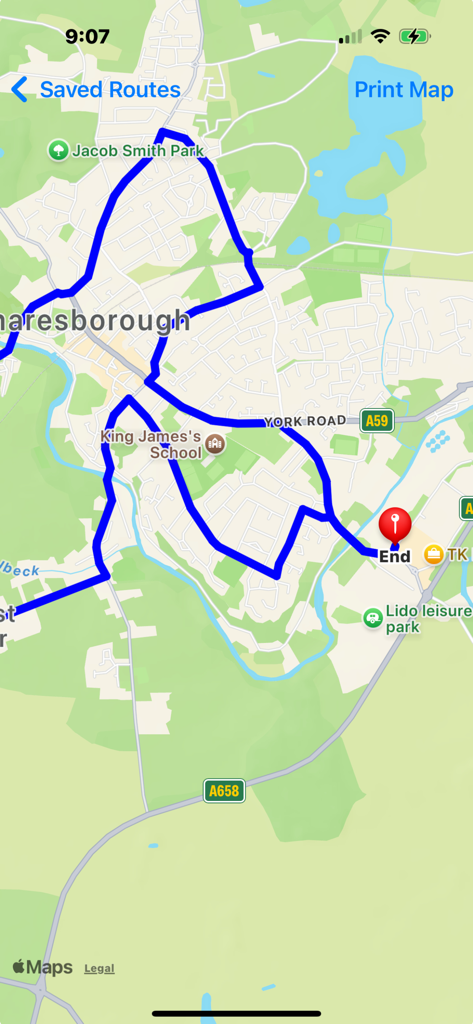 GPX Route Viewer - Visualización del mapa que muestra una ruta azul con un marcador final rojo y opción de impresión