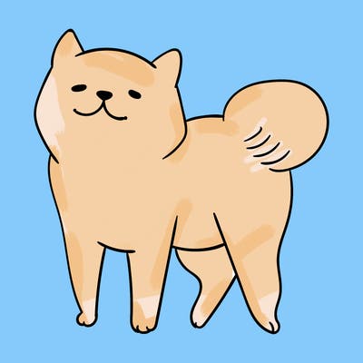 animals_29