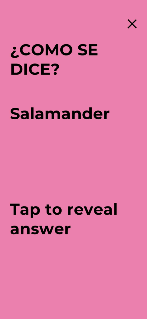 No Sabo - No Sabo game screen asking how to say Salamander in Spanish