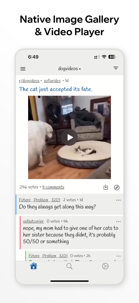 rdx for Reddit - rdx for Reddit app interface showing a native video player with a dog and cat video and user comments