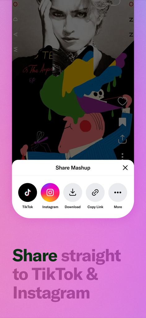 MashApp Music sharing interface with options for TikTok and Instagram