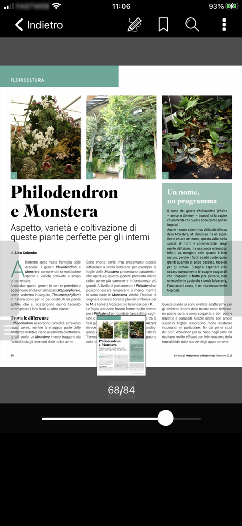Rivista di Orticoltura - Página de revista digital sobre plantas de Filodendro y Monstera en la aplicación Rivista di Orticoltura.