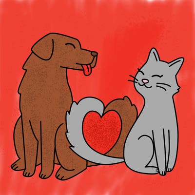 animals_22