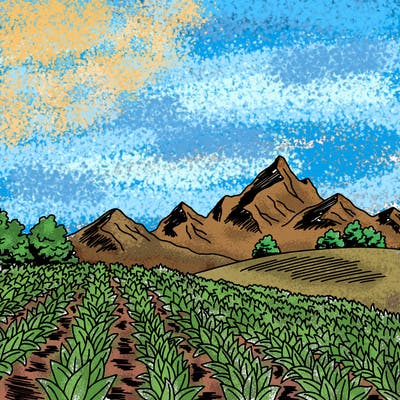 places_08