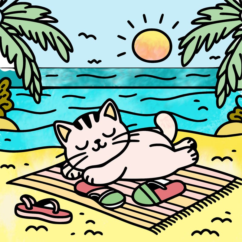 cat relaxing at the beach