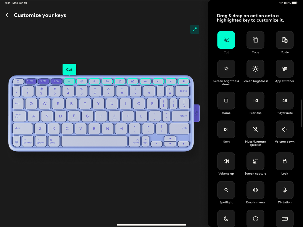 Logi Options+ Mobile - Interfaz de la aplicación Logi Options+ Mobile mostrando cómo personalizar las teclas de acceso directo del teclado en un iPad.