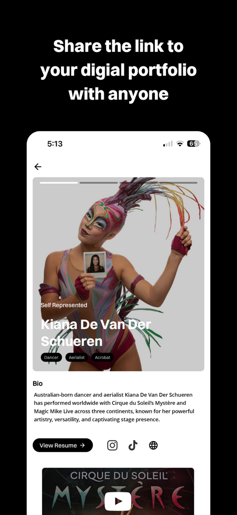 Industry Auditions - Schermata del profilo del portfolio digitale dell'app Industry Auditions per un performer professionista