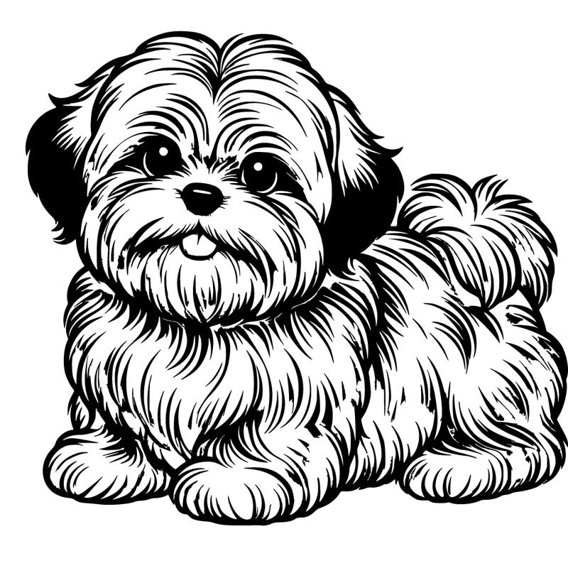 realistic fluffy shorkie