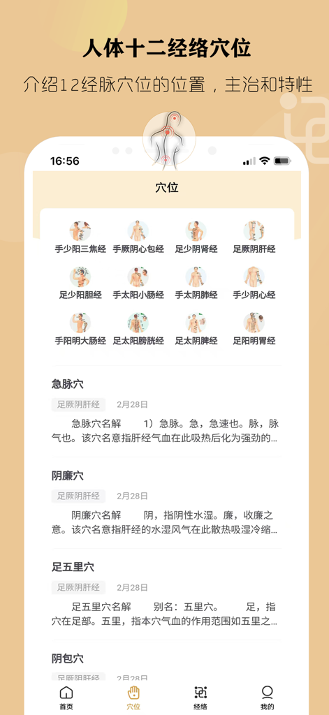 经络穴位养生 - 中医穴位自我按摩治愈 - Mobile App-Bildschirm, der verschiedene menschliche Meridianverläufe und detaillierte Erklärungen von Akupunkturpunkten für TCM-Wellness zeigt