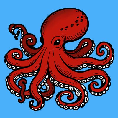 octopus