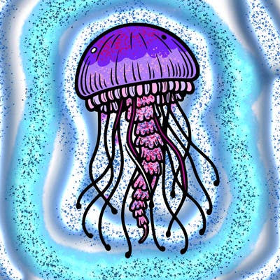 jellyfish