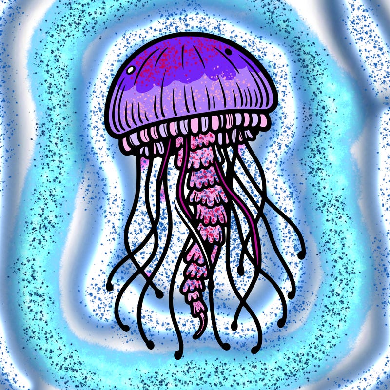 jellyfish