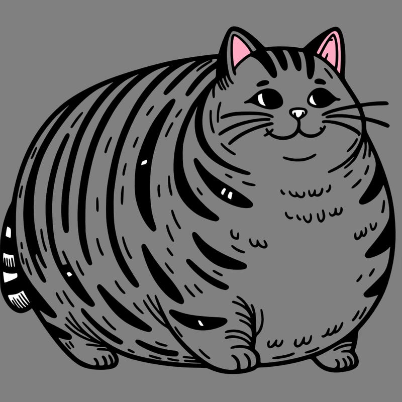 fat cat