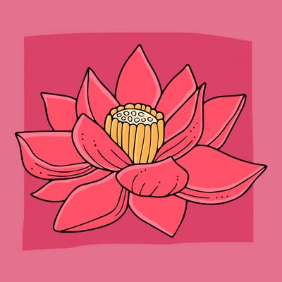 flowers_08