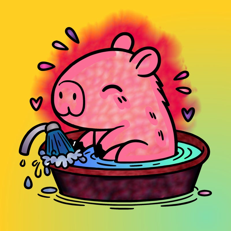 capybara taking a bath