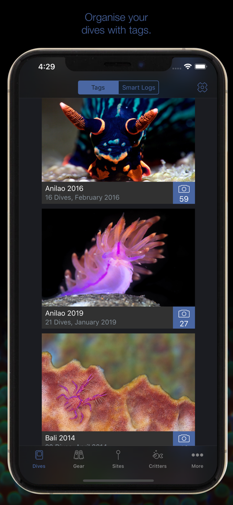 A smartphone screen displaying the MacDive app with dive logs organized by tags and colorful underwater photography