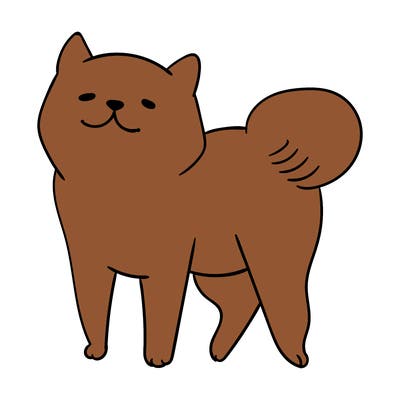animals_29
