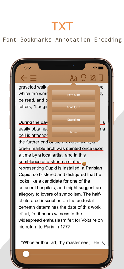 TxtReader Pro - TxtReader Pro mobile app interface with an open menu for font size font type and encoding settings