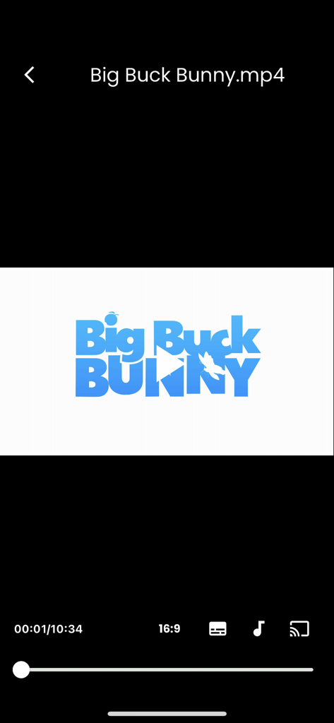 Bitport iOS app video player interface streaming a media file with playback controls and casting options