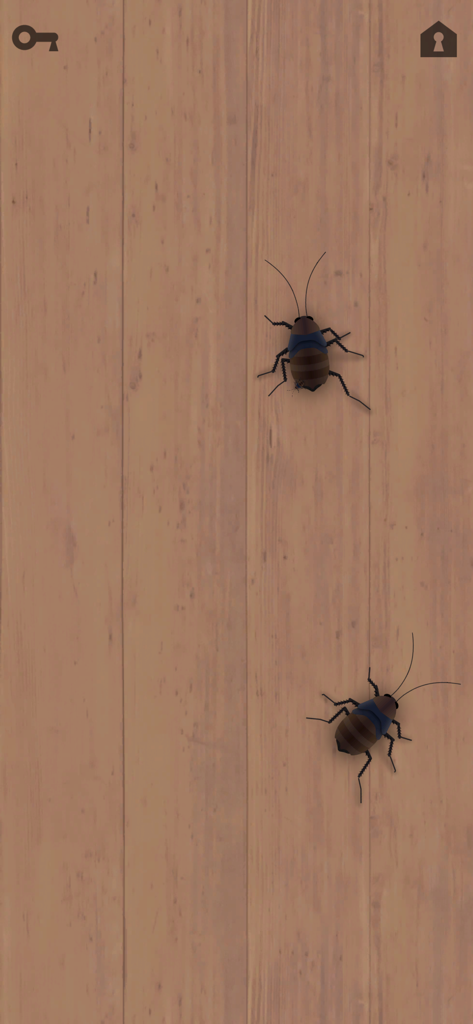 Two cockroaches on a wood background for cats to catch