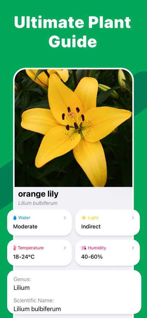 Plant AI App-Oberfläche, die Pflegeanweisungen und Identifizierung für eine orangefarbene Lilie zeigt.