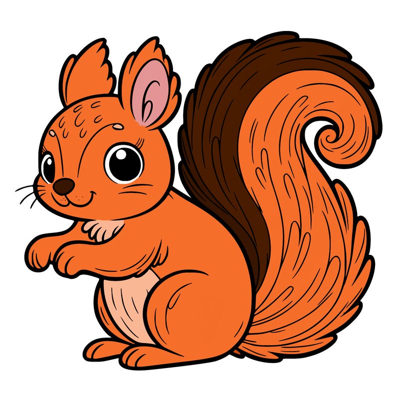 squirrel