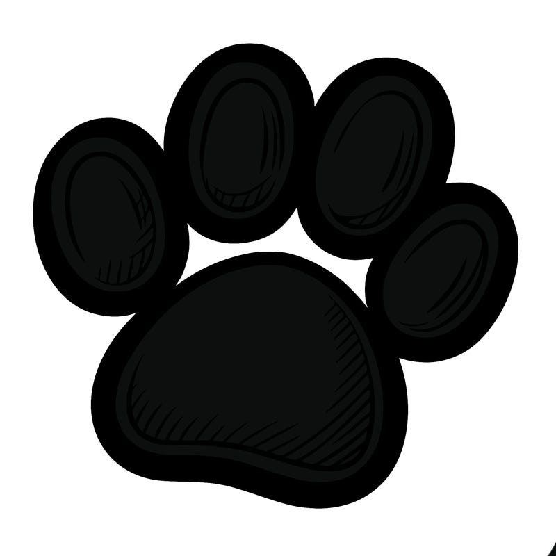 paw