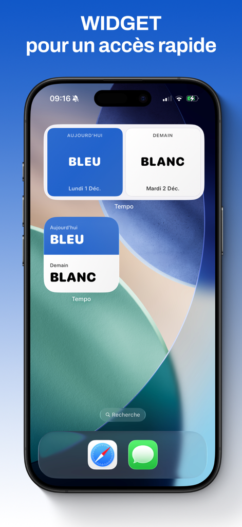 iOS home screen showing Tempo EDF widgets with electricity price colors for today and tomorrow