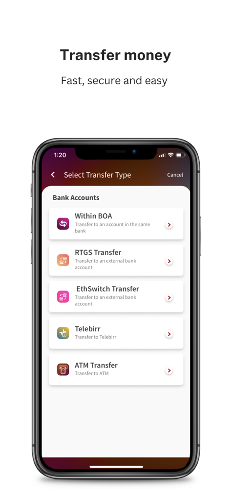 Apollo Digital app interface showing transfer options including within Bank of Abyssinia Telebirr and ATM transfers