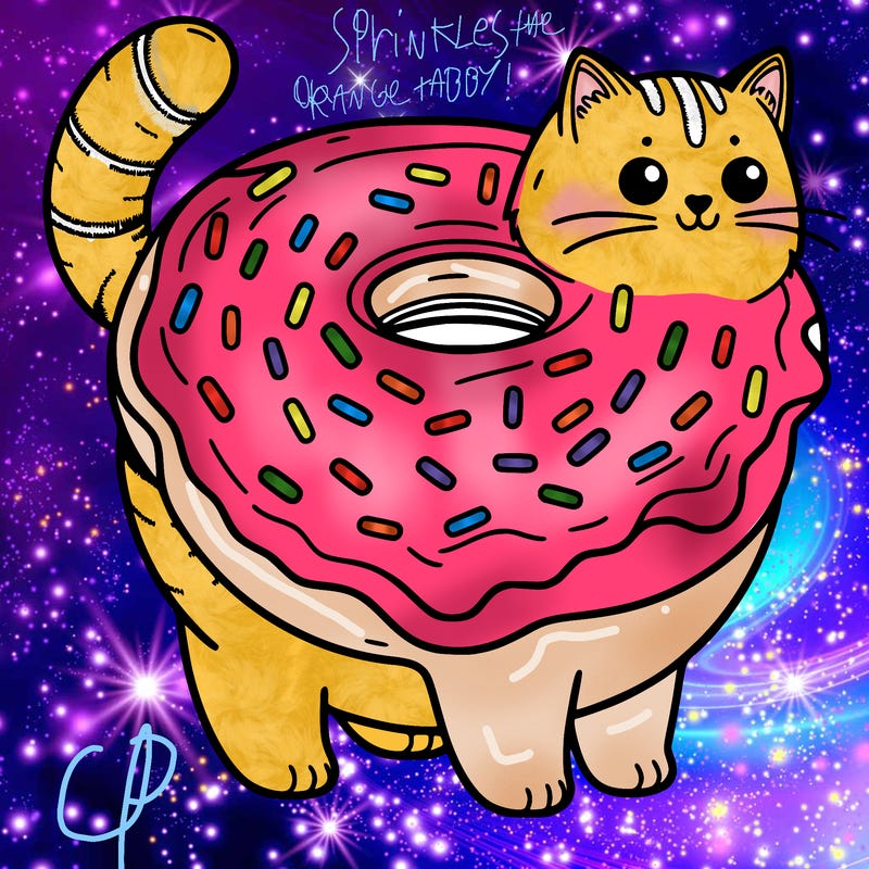 cat turned into donut