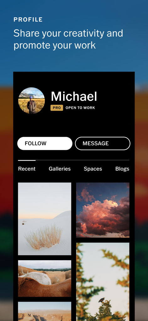 Profil utilisateur VSCO Pro présentant un portfolio de photographie professionnelle et une disponibilité pour des missions.