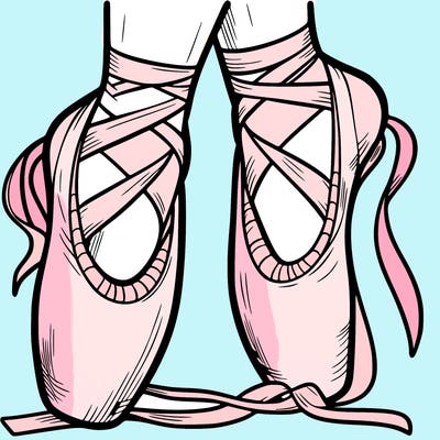 ballet shoes