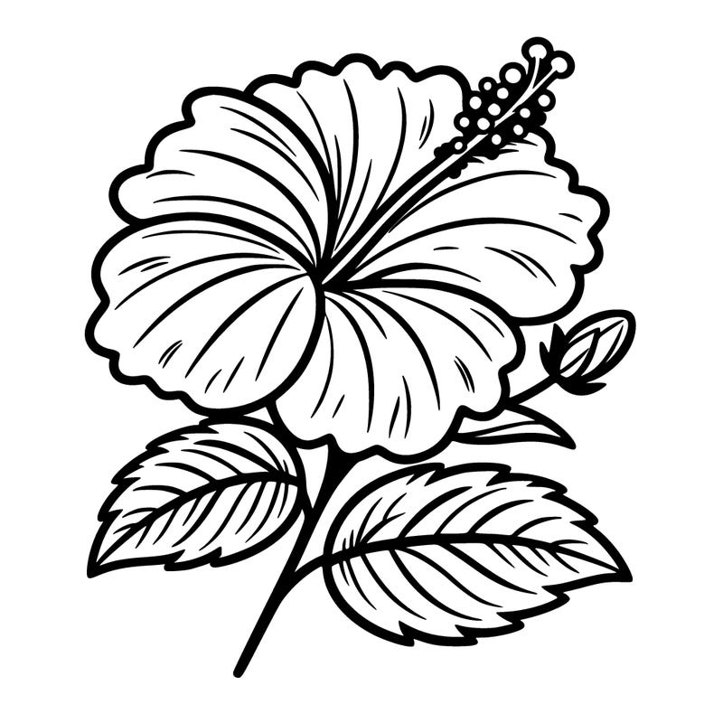 hibiscus flower