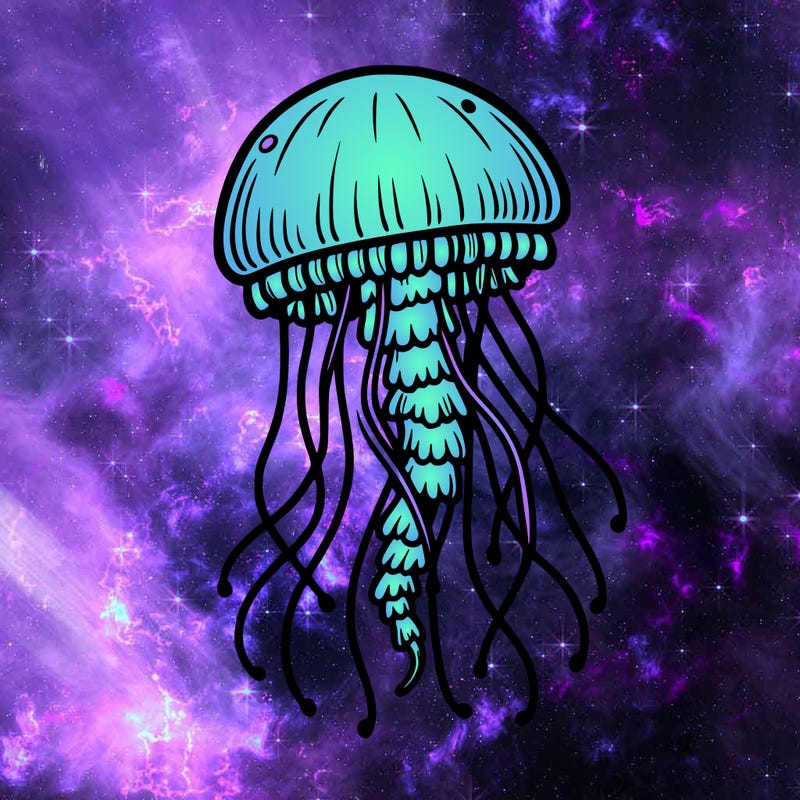 jellyfish