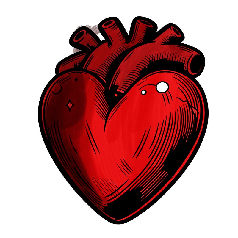 realistic heart