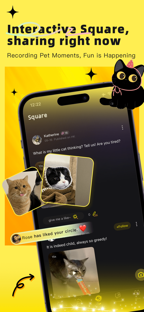 Il feed social a quadrato interattivo dell'app 花猫Meow che visualizza foto e video di gatti condivisi dagli utenti.