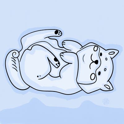 animals_30