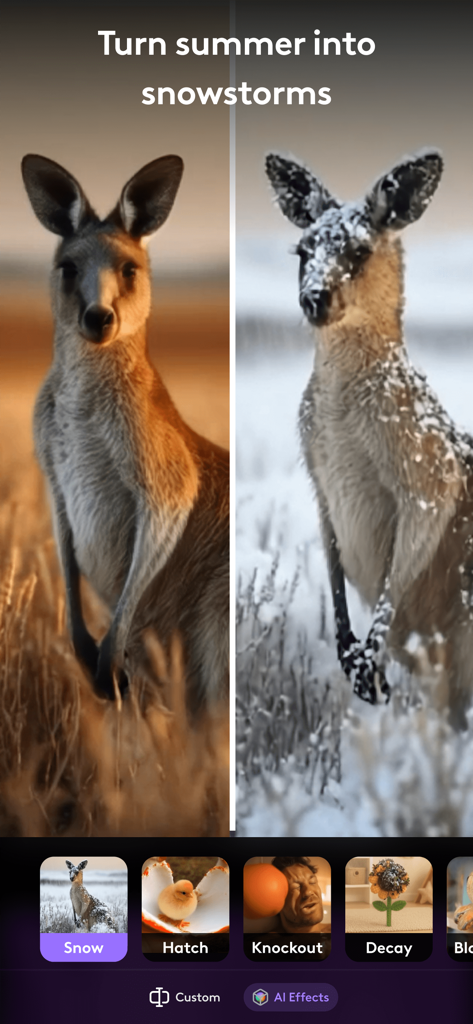 A before and after split screen showing a kangaroo in a summer field transformed into a snowy winter scene using AI effects.