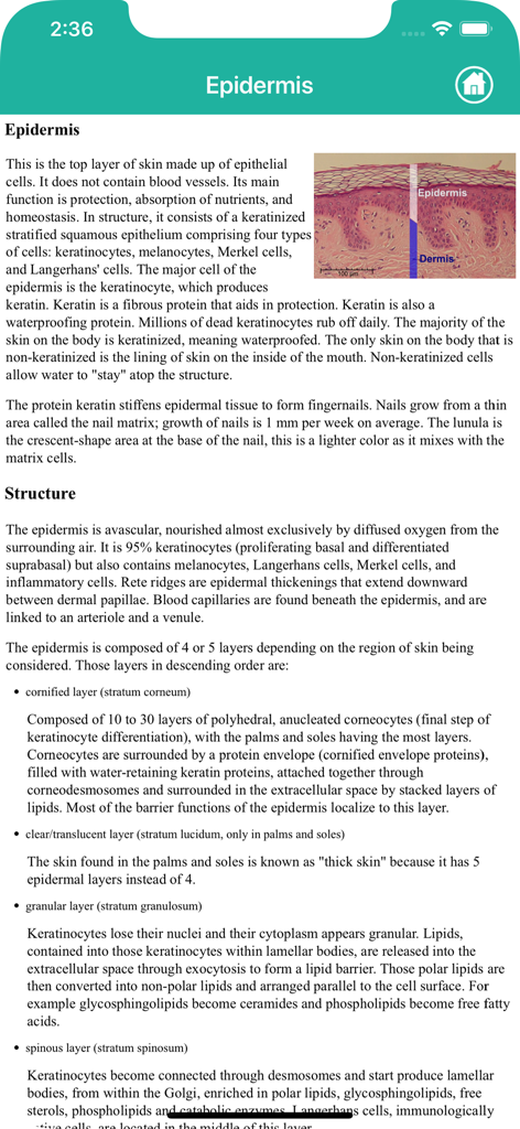 Anatomy : Integumentary System - 表皮の皮膚層の詳細な情報と図を表示する解剖学アプリの学習画面