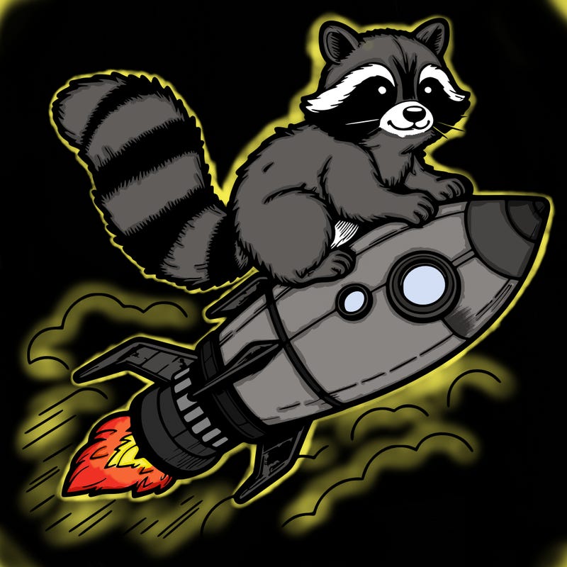 realistic raccoon flying on top rocket ship