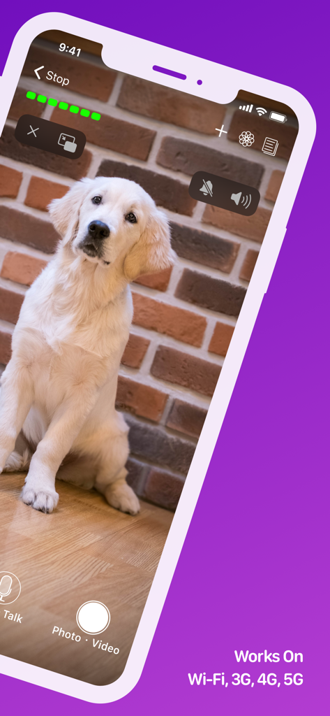 Pet Monitor VIGI - Smartphone screen showing a live video feed of a puppy in the Pet Monitor VIGI app