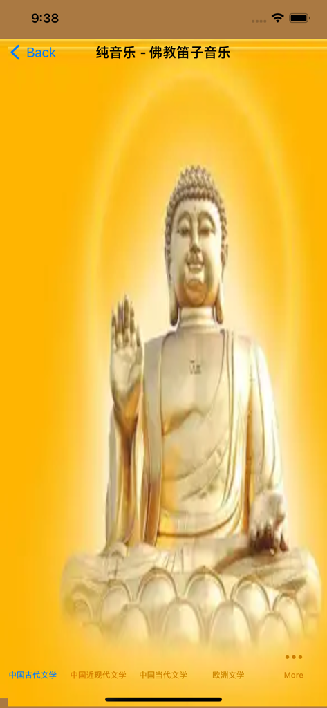 佛教经典歌曲大全 - Golden Buddha statue displayed on the screen of a Buddhist music mobile application