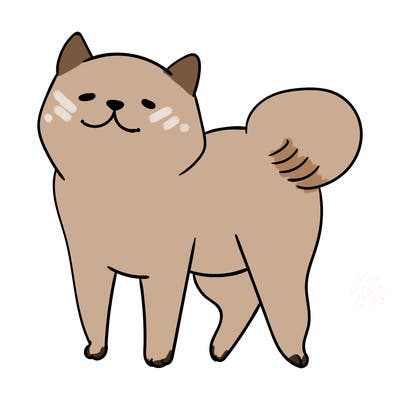 animals_29