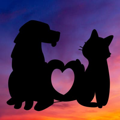 animals_22
